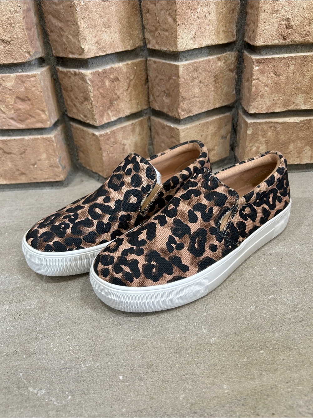 Steve Madden Gills A Leopard pull on sneaker black brown Shoe size 7 M